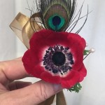 Bout Peacock&Anemone