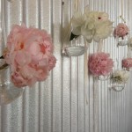 Glass Globes & Wall