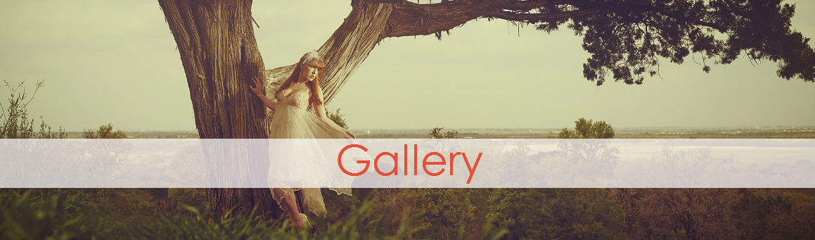 Terradorna Gallery